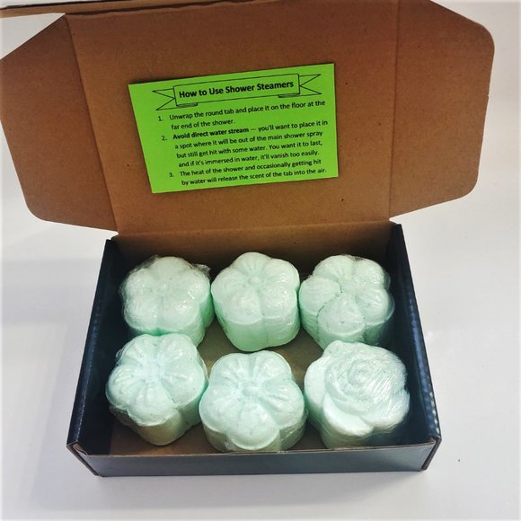Box of 6 Eucalyptus  Shower Steamers - Picture 1 of 6